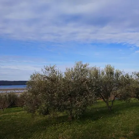 S Portoroz